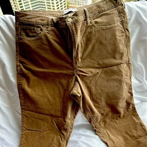 Gap velvet pants